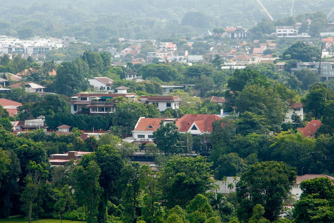 Landed homes surrounded by mature trees in a quiet street