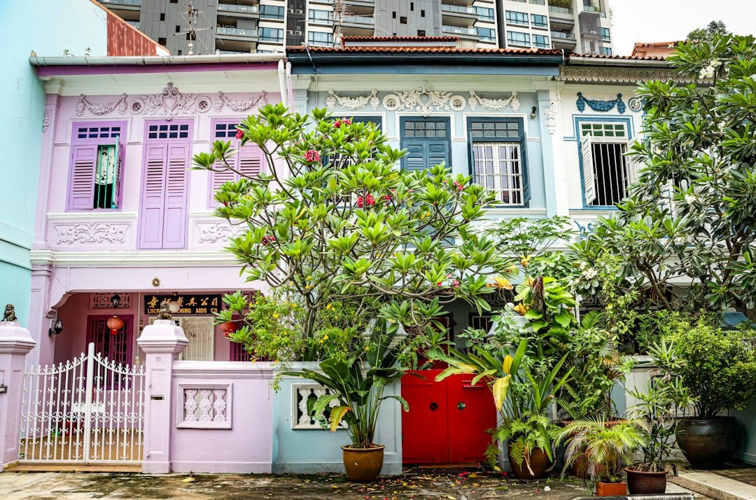 Terrace houses with lush greenery in a Singapore landed estate